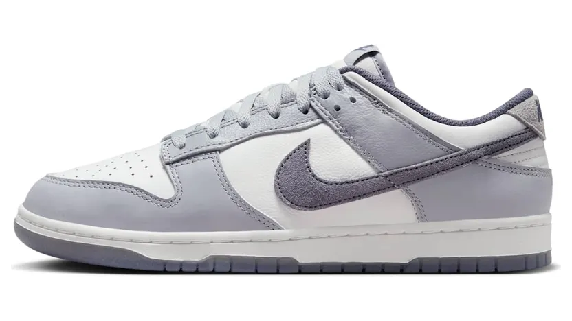 nike-dunk FJ4188-100
