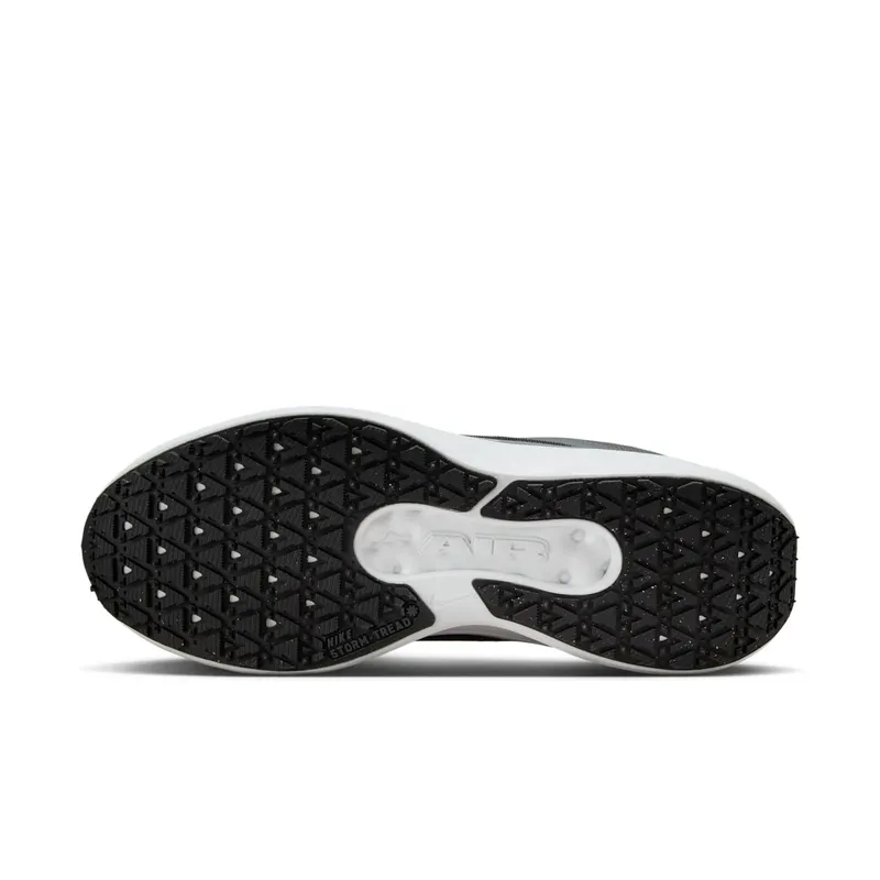 Nike Winflo 11 Gore-Tex Anthracite Black Photon Dust Metallic Silver (FQ1358-004)