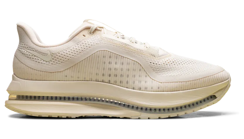 nike-air-pegasus IQ5691-100