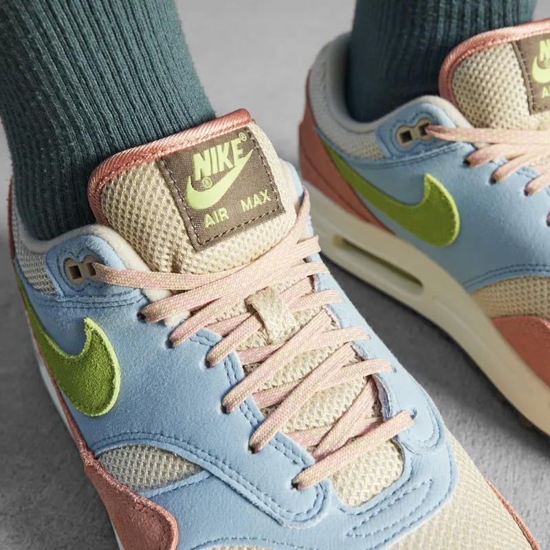 Nike Air Max 1 Light Madder Root Worn Blue (DV3196-800)