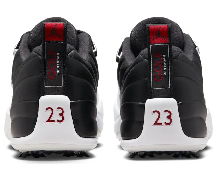 air-jordan-12 DH4120-010