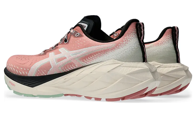 asics-novablast 1012B654.250