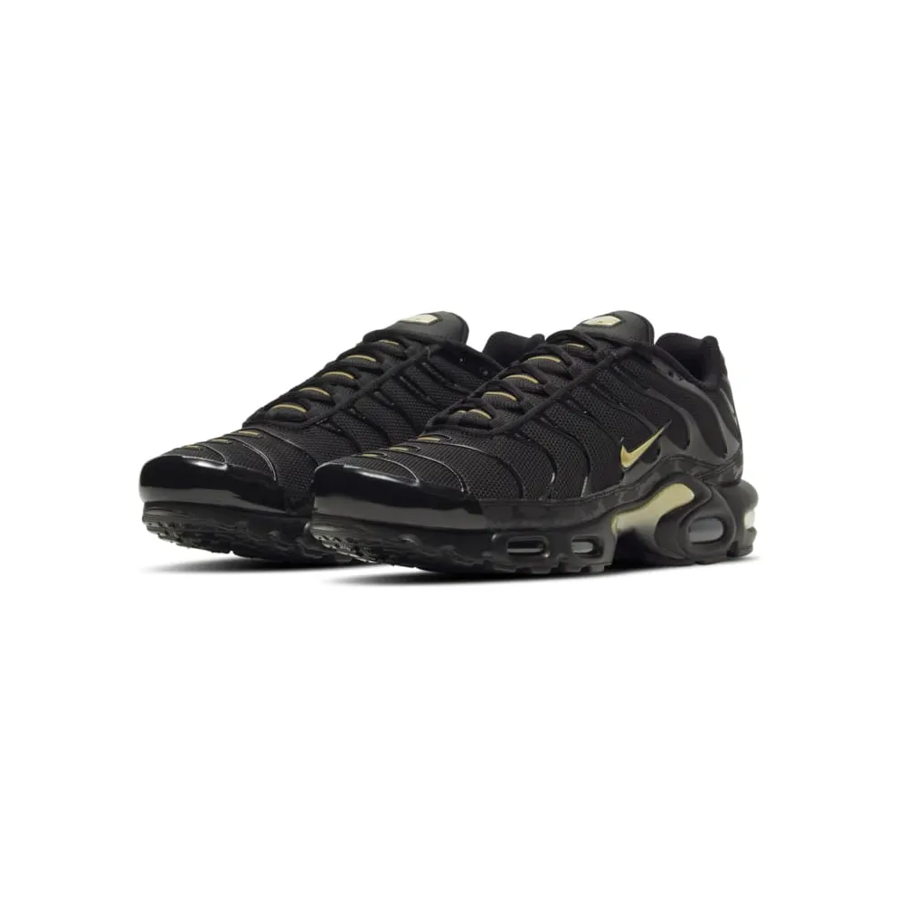 Nike Air Max Plus Black (DC4118-001)
