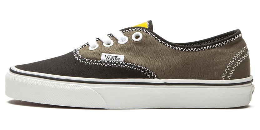 VANS Zig Zag Authentic Schoenen (Multicolour)