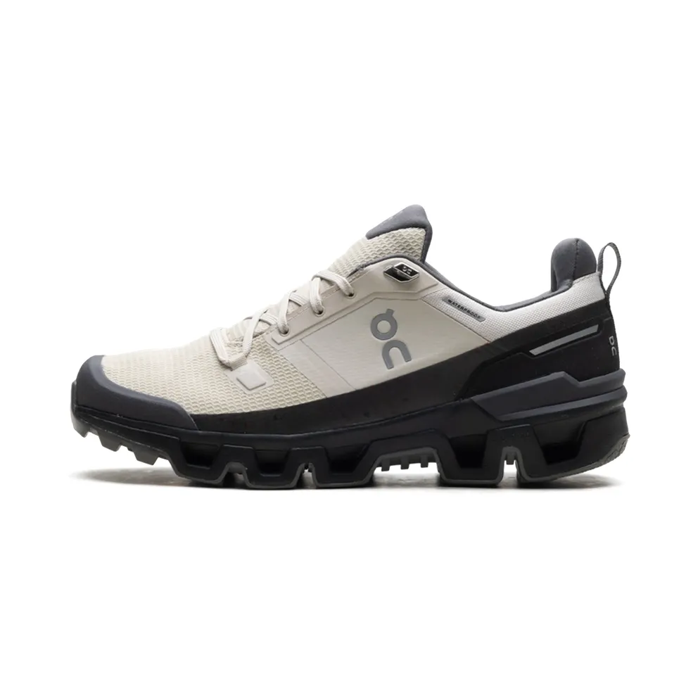 On Running Cloudwander Waterproof “Sand/Black” (73.97667)