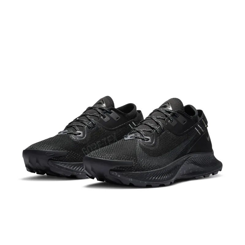 Nike Pegasus Trail 2 GORE-TEX Trail Running Black (CU2018-001)