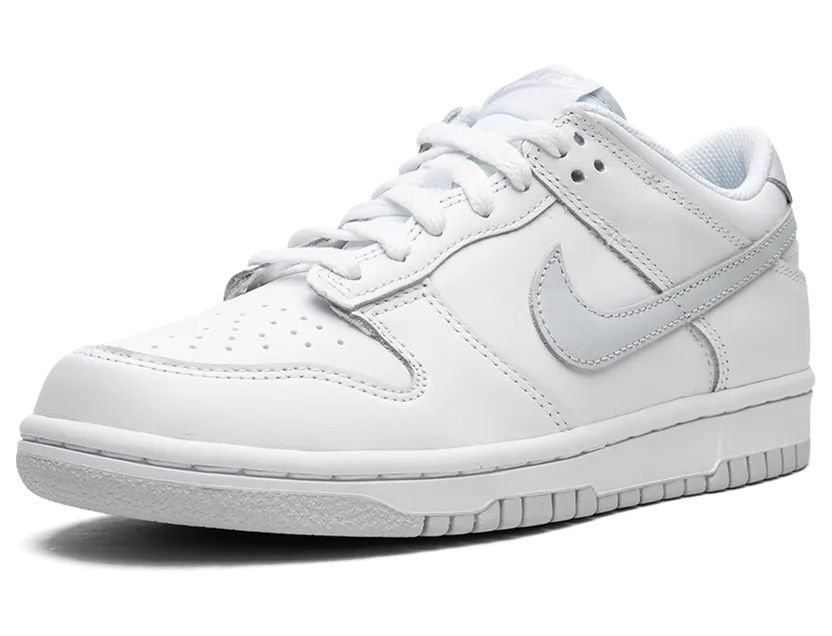 nike-dunk DH9765-102