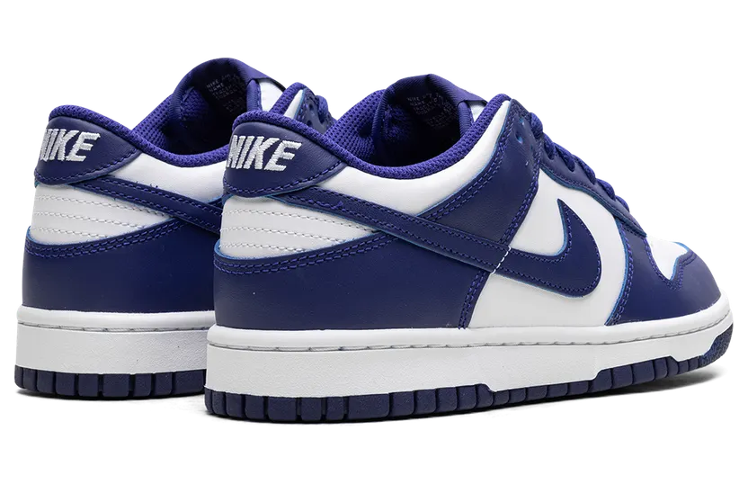 nike-dunk FB9109-106