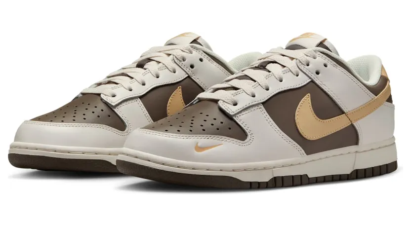 nike-dunk HM9655-001