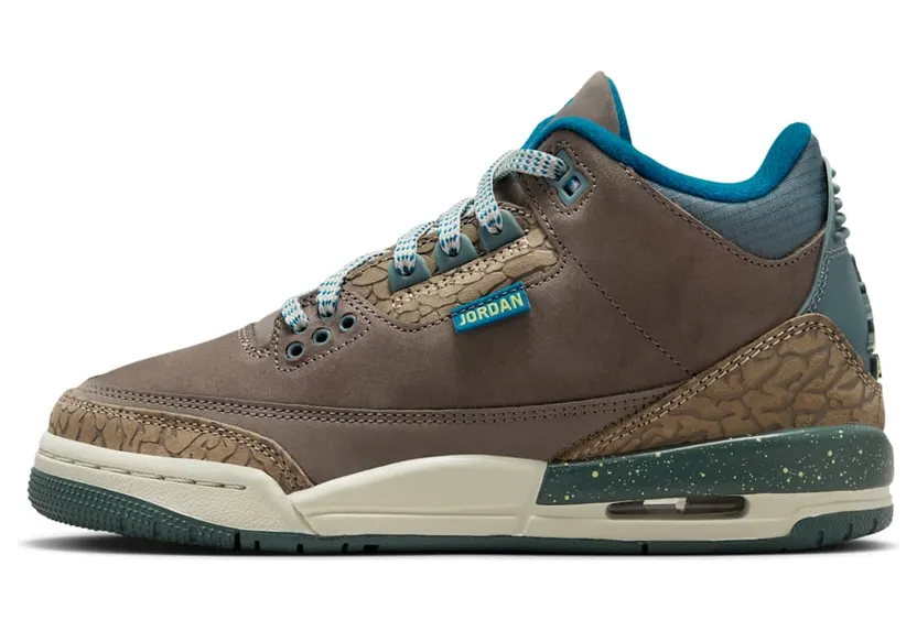 Air Jordan 3 GS “We Outside” (IB7066-001)