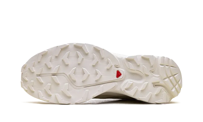 Salomon XT-6 “VANILLA ICE” (L47445-300)