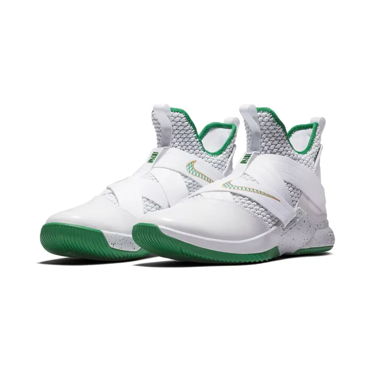 nike-lebron AO2609-100