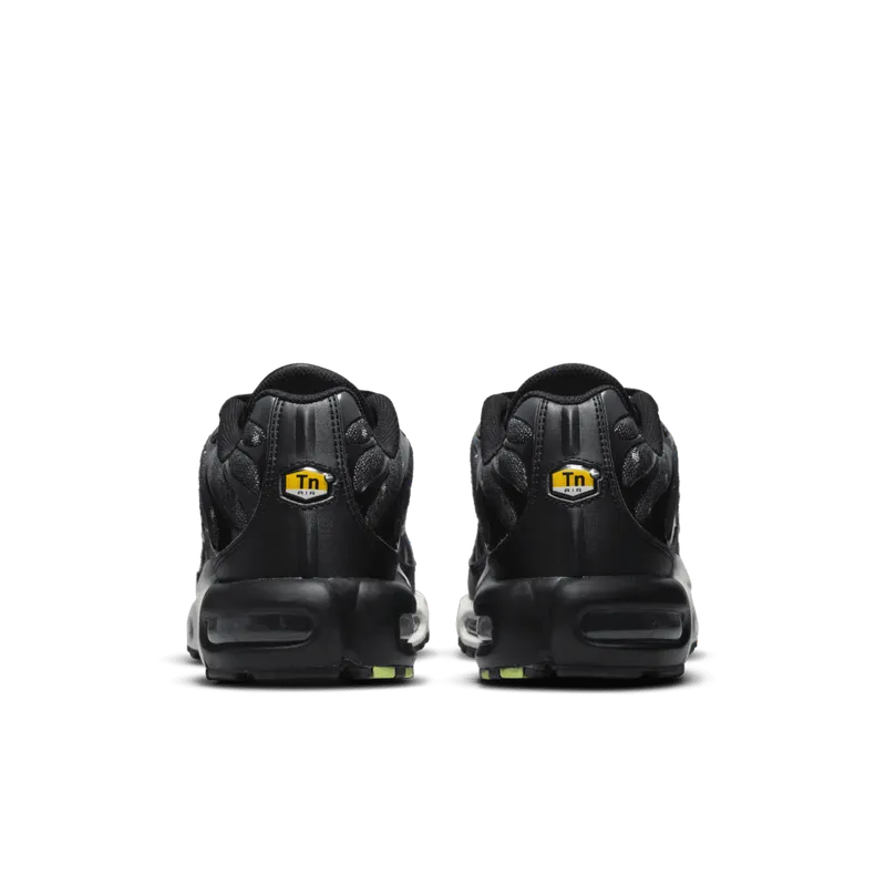 Nike Air Max Plus SE Black Chrome (DM7570-001)