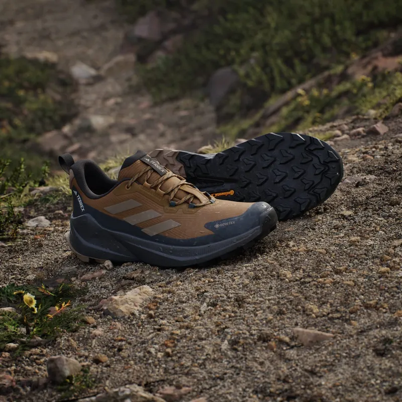 Adidas Terrex Trailmaker 2 GORE-TEX Hiking Bronze Strata / Blanch Cargo / Carbon (JQ9945)