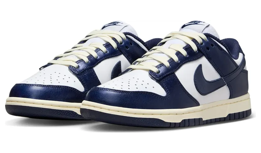 nike-dunk FN7197-100