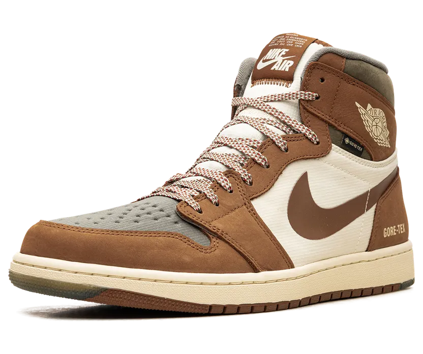 air-jordan-1 DB2889-102