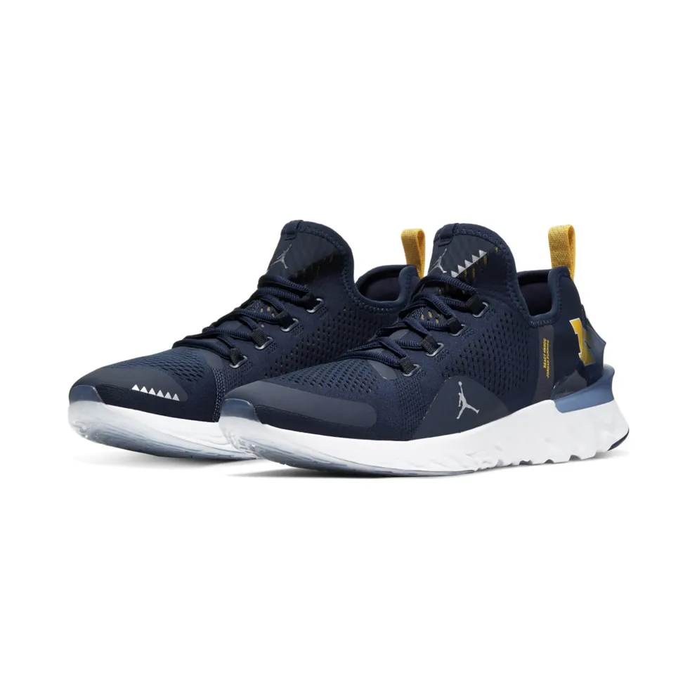 Jordan React Havoc Michigan College Navy/Metallic Silver-White-Amarillo (CJ6748-407)