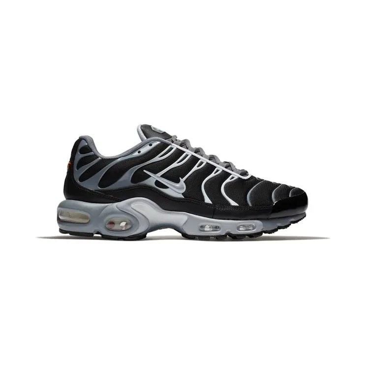 Nike Air Max Plus Cool Grey Wolf Grey