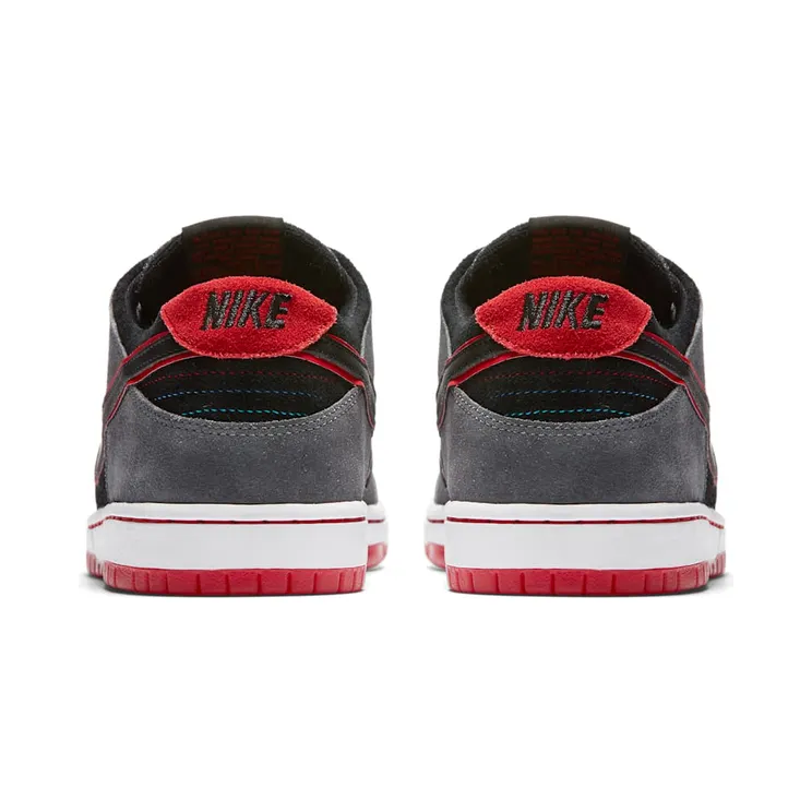 nike-dunk-sb 895969-006