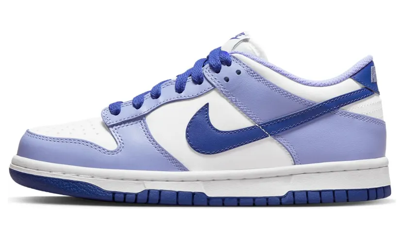 Nike Dunk Low DZ4456-100