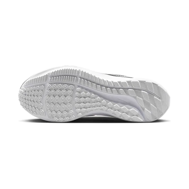 nike-air-pegasus DR9619-001