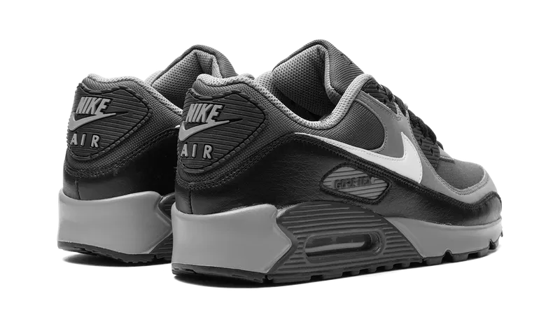 Nike Air Max 90 GORE-TEX “Dark Smoke Grey” (FD5810-002)