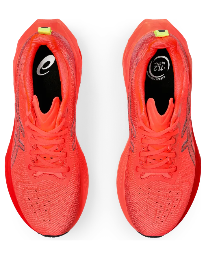 asics-novablast 1011B693.601