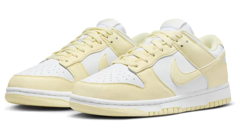 nike-dunk DD1873-106