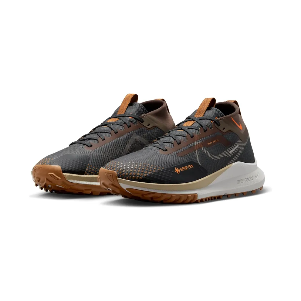 Nike Pegasus Trail 4 Gore-Tex Anthracite Ironstone (FD5841-001)