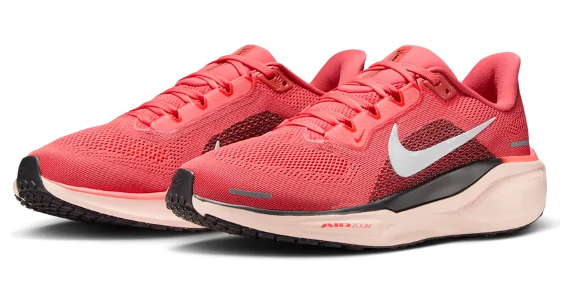 nike-air-pegasus FD2723-801