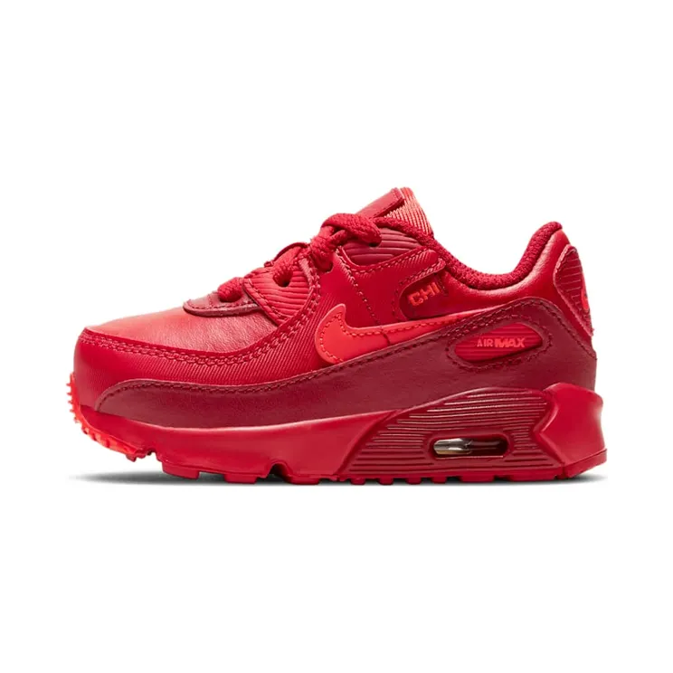 Nike Air Max 90 City Special Chicago (TD) (DH0153-600)