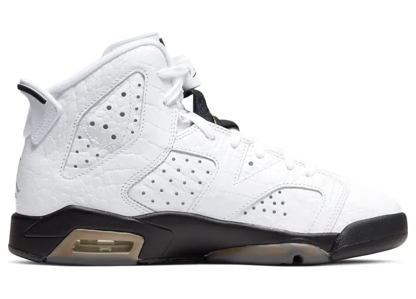 air-jordan-6 384665-110