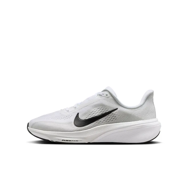 Nike Pegasus White/Photon Dust/Black (IH2306-101)