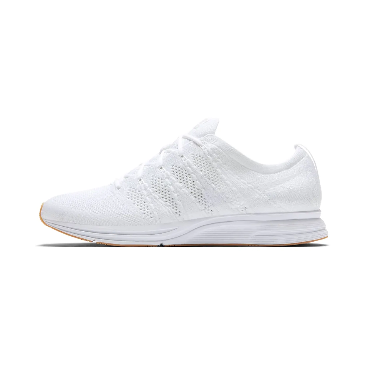 nike-flyknit-trainer AH8396-102