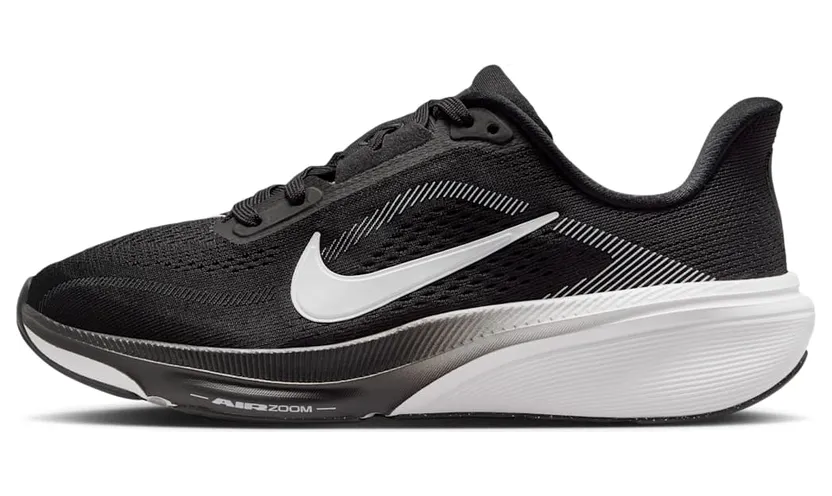 nike-air-pegasus IH2306-002