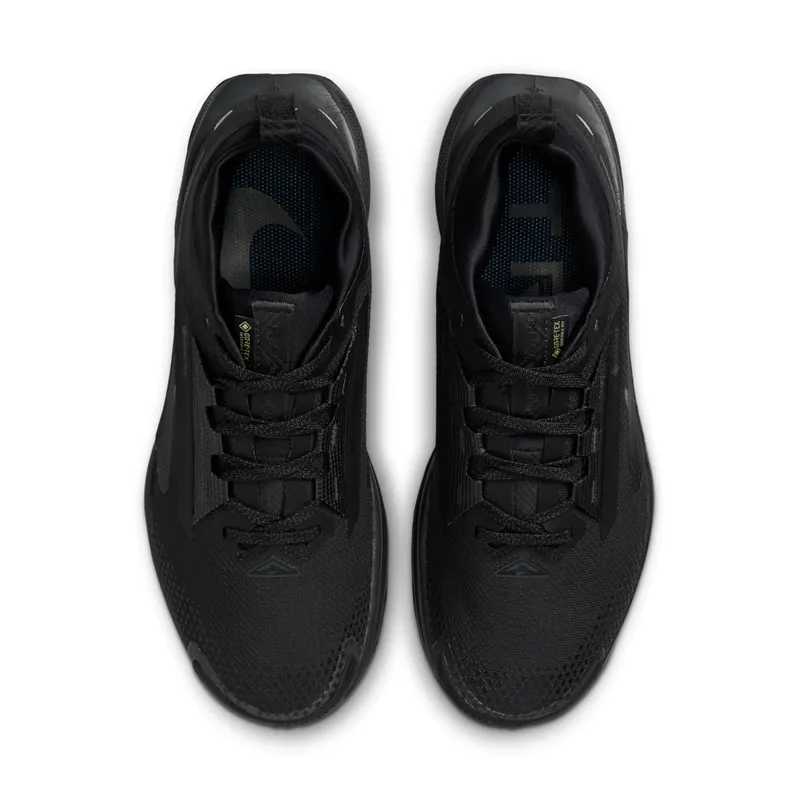 Nike Pegasus Trail Black (FQ0912-002)