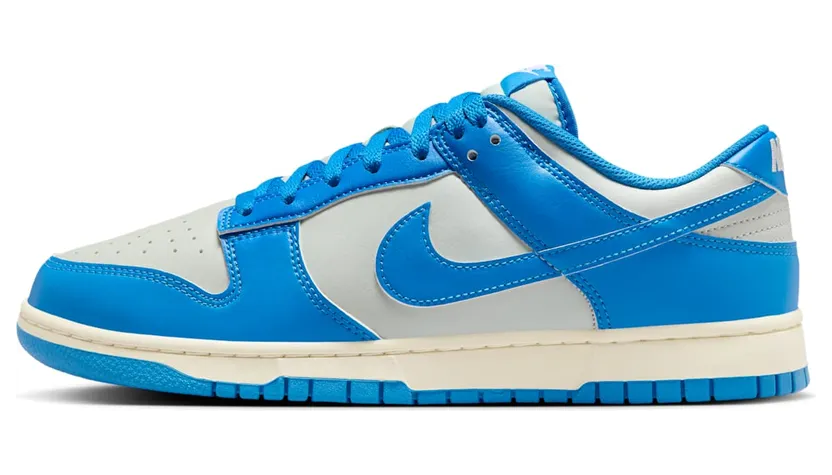 Nike Dunk Low HF5441-002