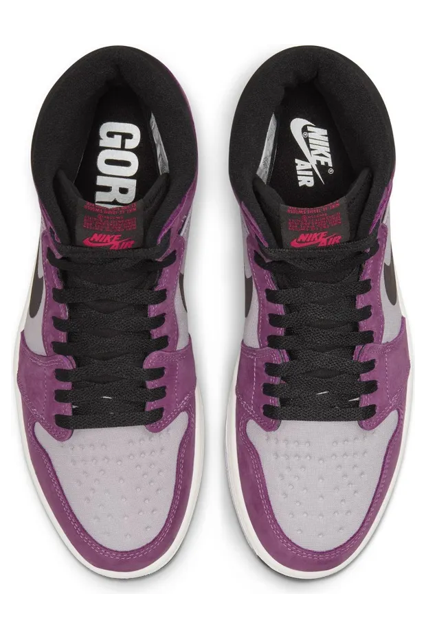 air-jordan-1 DB2889-500