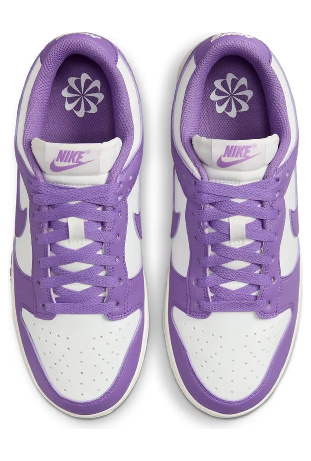nike-dunk DD1873-108