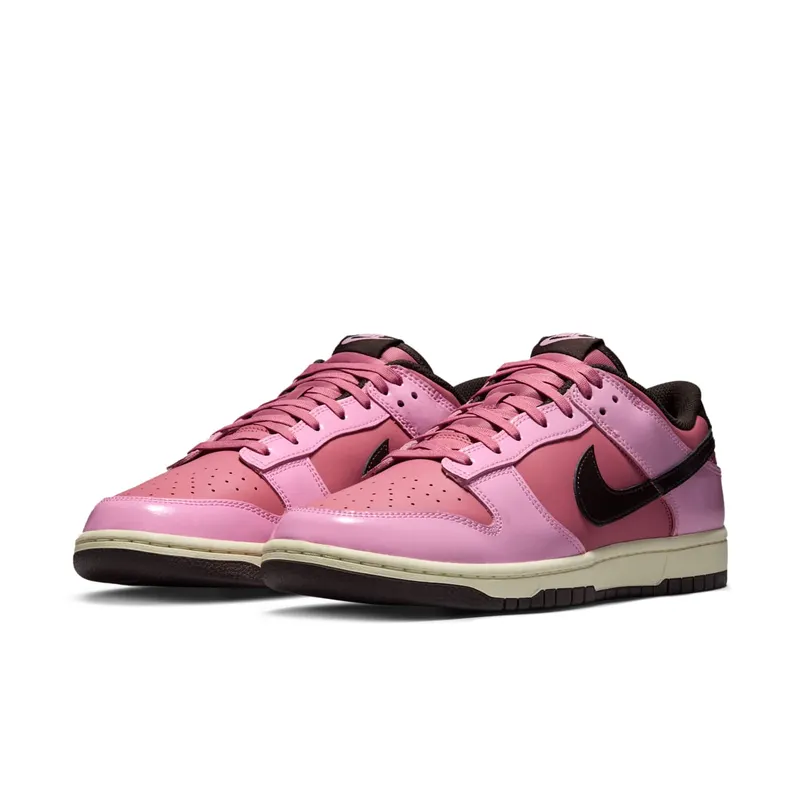 Nike Dunk Low Retro “Donut” (IM4415-600)
