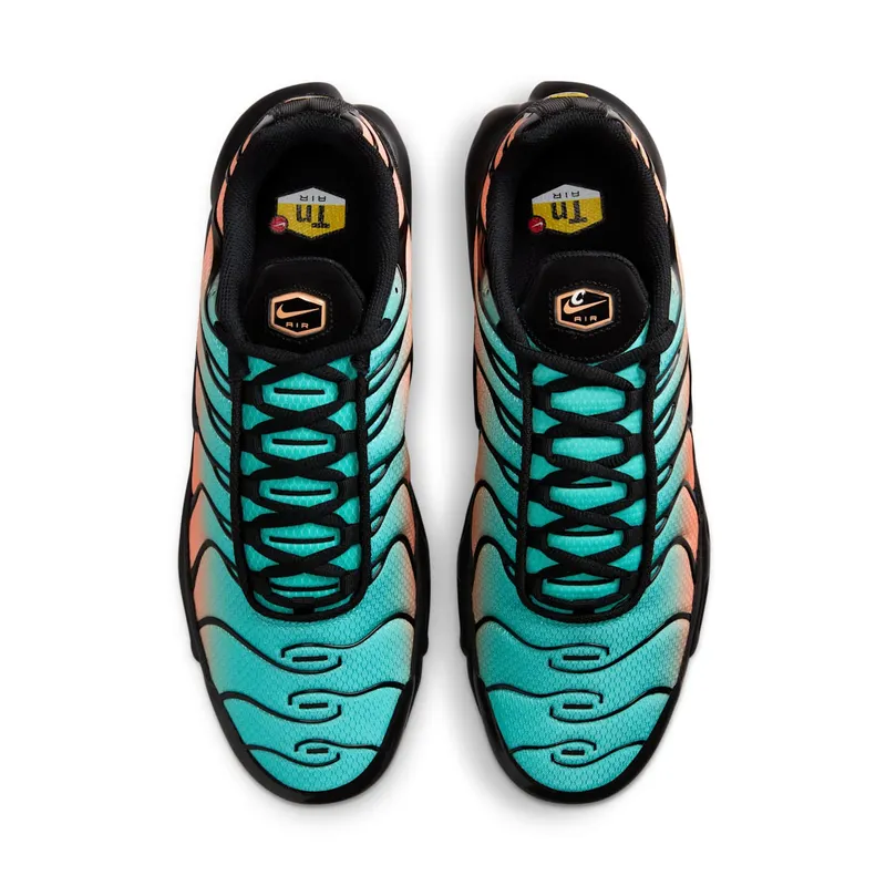 Nike Air Max Plus “South Beach” (DM0032-022)