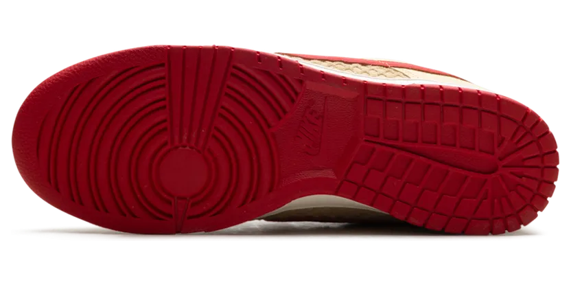 nike-dunk HJ9100-294