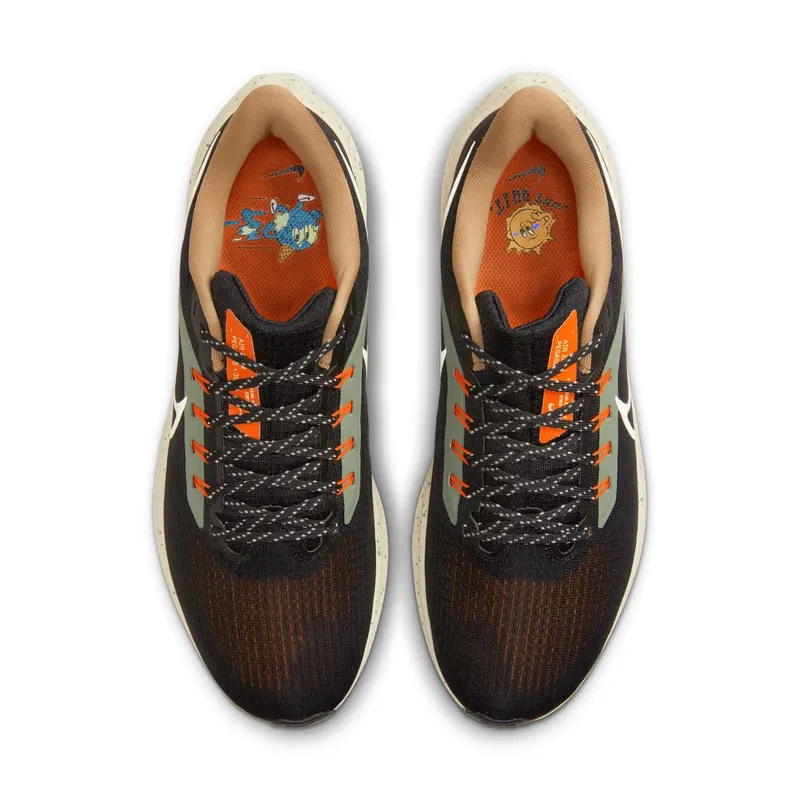 Nike Air Zoom Pegasus Black (DX6039-071)