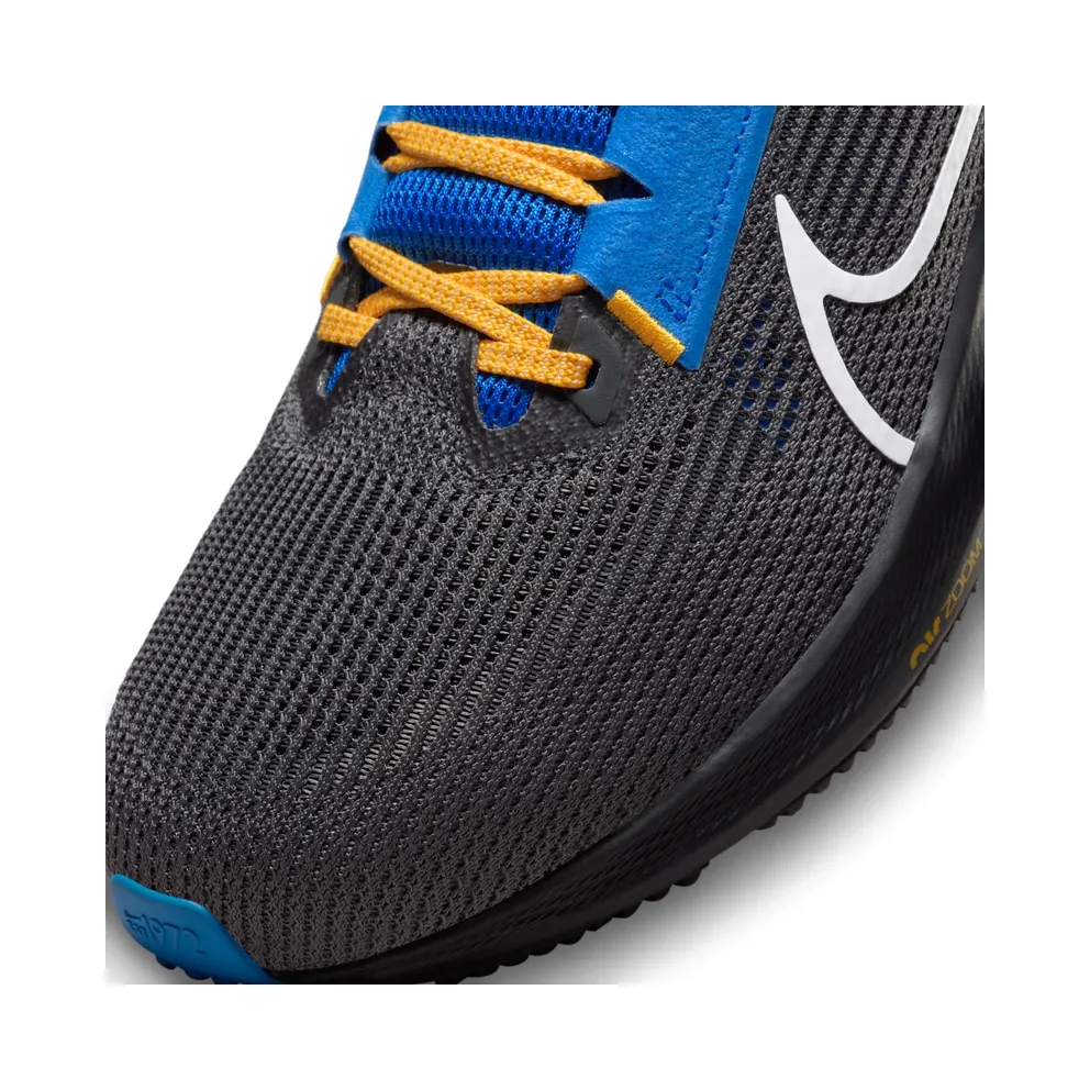 Nike Pegasus 40 Los Angeles Chargers (DZ5948-001)