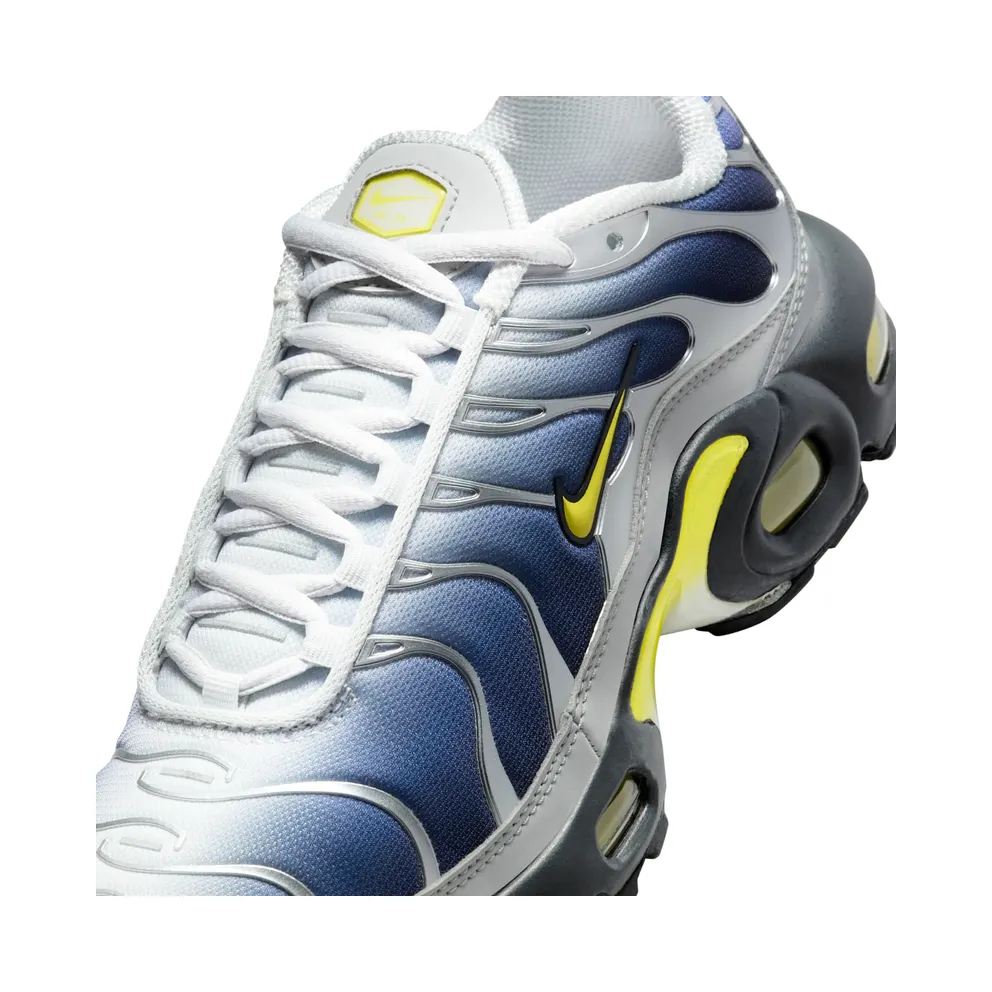 Nike Air Max Plus Obsidian Silver (HF0030-001)