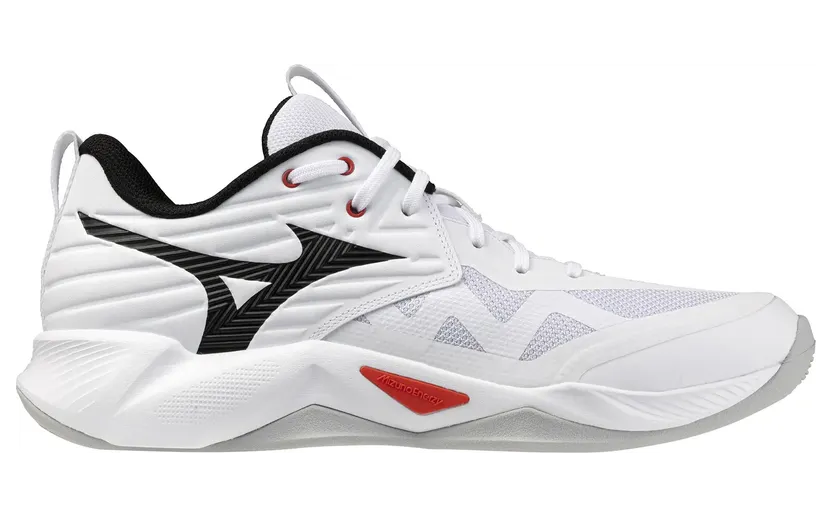 Mizuno Wave Momentum Wit (V1GA254059)