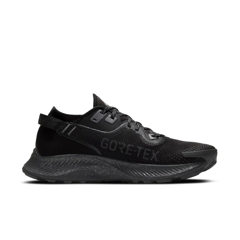 Nike Pegasus Trail 2 GORE-TEX Trail Running Black (CU2016-001)