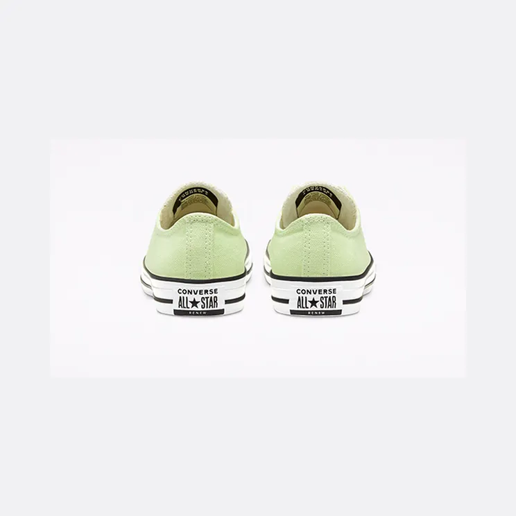 converse-chuck-taylor-all-star 167647C