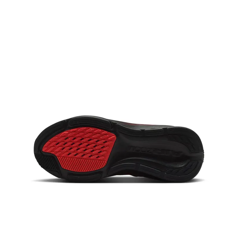 Nike Pegasus Black/University Red/Wolf Grey/Bright Crimson (IH2306-005)
