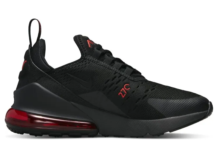 nike-air-max DX9273-001